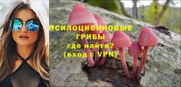ALPHA PVP Кодинск