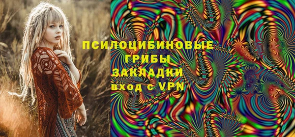 ГАЛЛЮЦИНОГЕННЫЕ ГРИБЫ Козельск