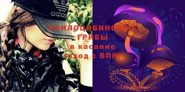 ALPHA PVP Кодинск