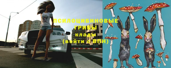 ГАЛЛЮЦИНОГЕННЫЕ ГРИБЫ Козельск