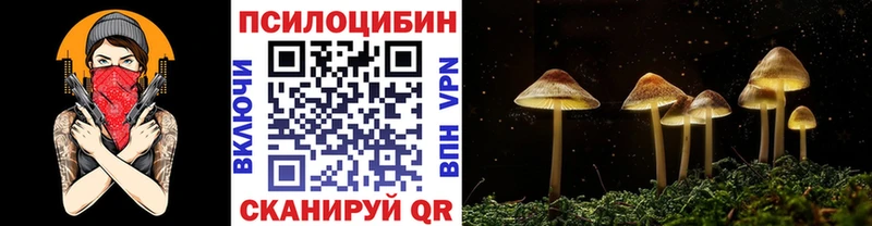Галлюциногенные грибы Magic Shrooms  Купить  Ряжск 